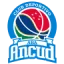 ABA Ancud logo
