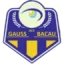 ACS FC Bacau logo