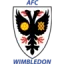 AFC Hornchurch logo