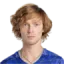 Andrey Rublev logo