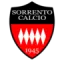 ASD Sorrento 1945 logo