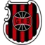 Brasil de Pelotas-RS logo