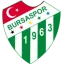 Bursaspor logo