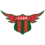 CA Boston River logo