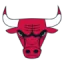 Chicago Bulls logo