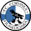 CS Corvinul Hunedoara logo