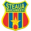 CSA Steaua Bucuresti logo