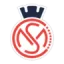 CSM Oradea logo