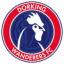 Dorking Wanderers FC logo
