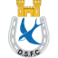 Dungannon Swifts logo