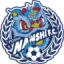 Foshan Nanshi FC logo