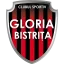 Gloria Bistriţa logo