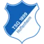 Hoffenheim II logo