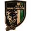Inter San Carlos logo