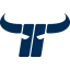 Kapfenberg Bulls logo