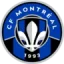 Montreal Impact logo
