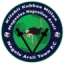 Negelle Arsi logo