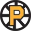 Providence Bruins logo
