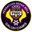 PSG logo