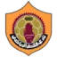 Qatar SC logo
