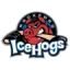 Rockford IceHogs logo