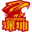 Shenzhen Leopards logo