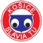 Slavia Tu Kosice logo