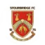 Stourbridge logo
