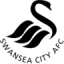 Swansea U21 logo