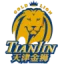 Tianjin Pioneers logo