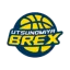 Tochigi Brex logo