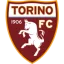 Torino logo