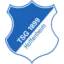 TSG Hoffenheim logo