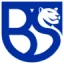 Union Brescia U19 logo