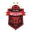 Wollongong Wolves logo