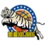 Xinjiang Flying Tigers logo