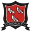 Dundalk logo