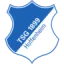 TSG 1899 Hoffenheim (W) logo