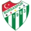 Bursaspor U19 logo