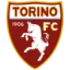 Torino (zyX) logo