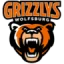 Grizzly Adams Wolfsburg logo