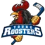 Iserlohn Roosters logo