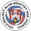Benatky Nad Jizerou Volley logo