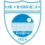 Ribnica Kraljevo logo