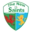 The New Saints logo