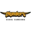 Seoul Samsung Thunders logo