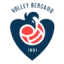 Volley Bergamo 1991 (W) logo