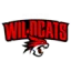 Perth Wildcats logo