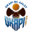 Okapi Aalstar logo