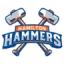 Hamilton Hammers logo